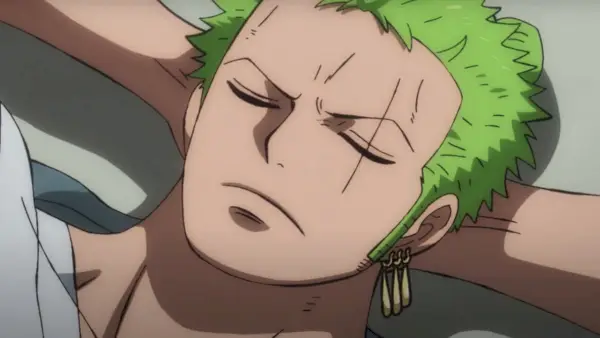 Zoro nukkuu