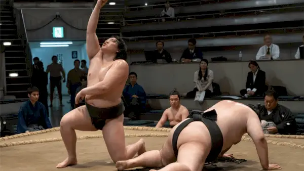 Chase Yi Sumo Sanctuary Japonská športová dráma Netflix Všetko, čo doteraz vieme