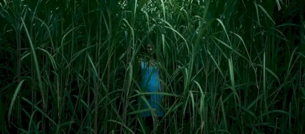 In The Tall Grass Netflix høsten 2019 1