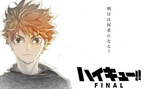 Sarebbe meglio che 'Haikyu FINAL' fosse disponibile su Netflix o altro