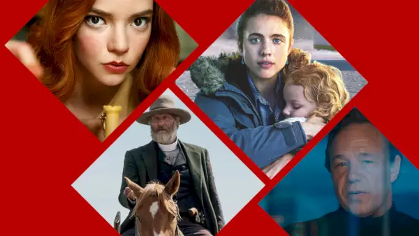 Les 15 meilleures séries limitées sur Netflix en 2024