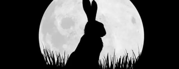 Watership Down Netflix Різдво