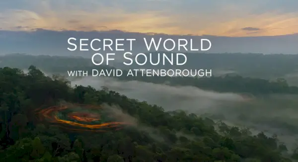 Naslovna kartica za Secret World Of Sound z Davidom Attenboroughom