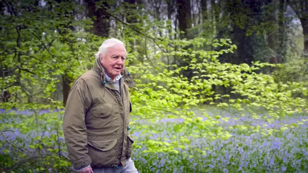 'Secret World of Sound with David Attenborough' kommer att landa på Netflix i utvalda regioner i augusti 2024