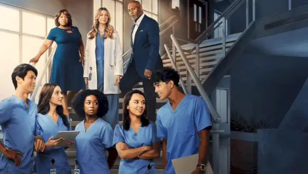 Sezon 20 Grey’s Anatomy potwierdza datę premiery Netflix w USA