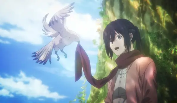 Palaukite, Mikasa ištekėjo už ko nors filme „Attack on Titan“?