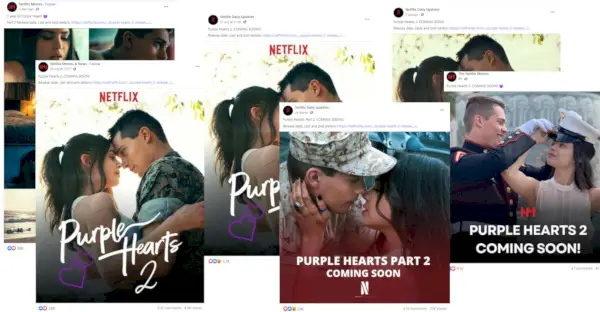 Purple Hearts 2 Fake News Posts Facebook