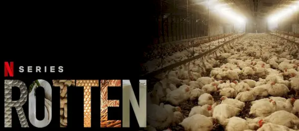 Rotten Sæson 2. oktober 2019 Netflix