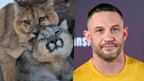 Predators: Netflix تحدد إصدارًا لمسلسل Tom Hardy الوثائقي في سبتمبر 2023