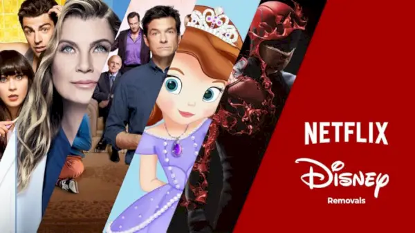 Disney Netflix-Entfernungsliste