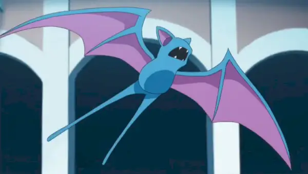 Zubat vo vzduchu