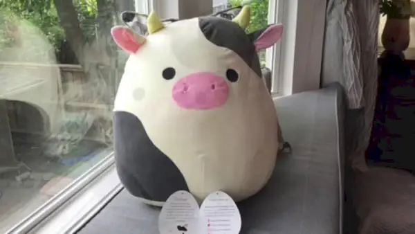 Les 10 Squishmallows les plus rares sur lesquelles vous pouvez (ou, de manière plus réaliste, ne pouvez pas) mettre la main