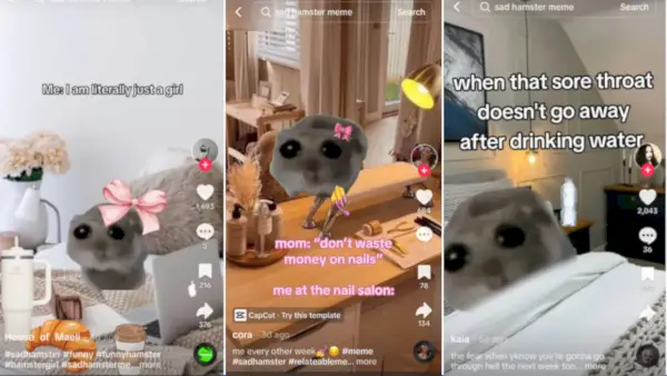 Les utilisateurs de TikTok ont ​​trouvé une nouvelle façon de dire « Je ne suis qu’un bébé »