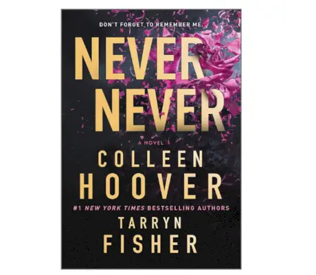 Tarryn Fisher ir Colleen Hoover „Niekada niekada“.