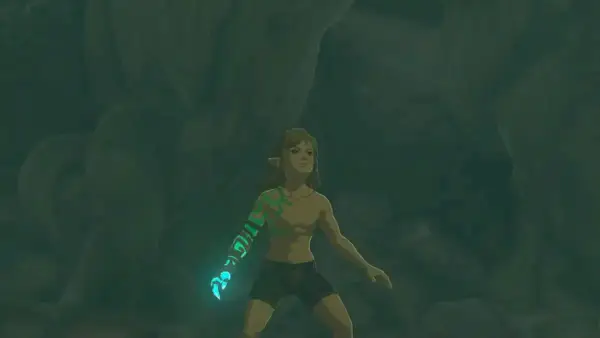 Дякуємо, Nintendo, за те, що ви зробили Link Shirtless у першому акті «Сльози Королівства»