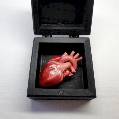 Un cuore anatomico in una scatola nera