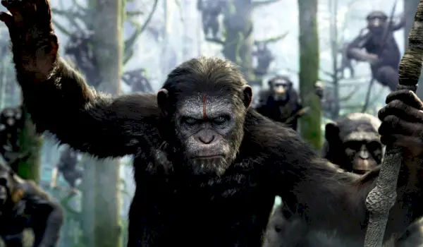 Cæsar leder en hær af aber i en skov i Dawn of the Planet of the Apes