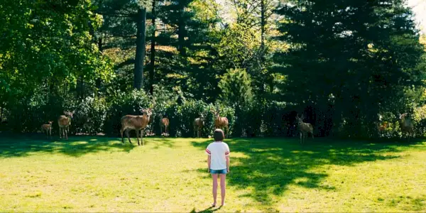 Farrah Mackenzie dans le rôle de Rose avec un cerf dans Leave the World Behind