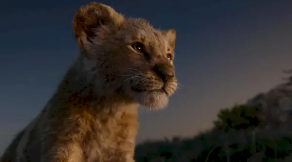 Simba el cachorro de león en El Rey León (2019)