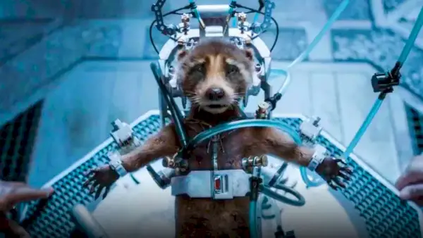 Vielen Dank für die Geschichte von Rocket Raccoon, „Guardians of the Galaxy Vol. 3'