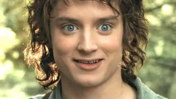 Elijah Wood Frodona Taru sormusten herrasta.