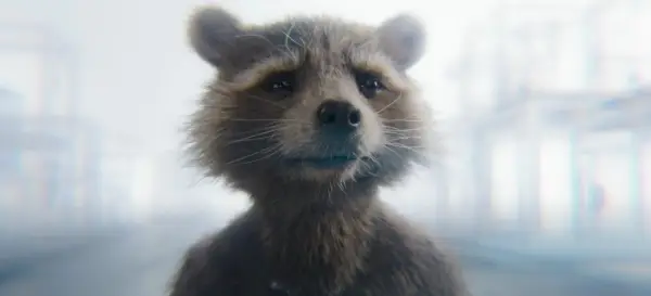 We weten eindelijk wat er met Rocket gebeurt in ‘Guardians of the Galaxy Vol. 3’