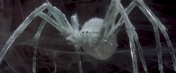 Eine riesige weiße Spinne in einem Netz in einer dunklen Höhle, aus dem Film Krull