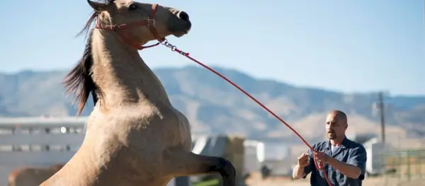 Mustang Netflix Ağustos