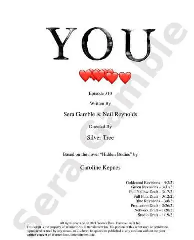 You Sezonul 3 Episodul 10 Script