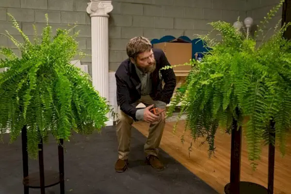 Between Two Ferns filmen Zach