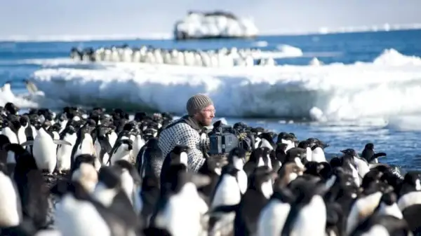 The Making Of Frozen Planet Netflix