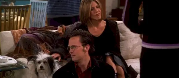 Vsaka epizoda za noč čarovnic prijateljev na Netflixu The One Where Chandler Doesnt Like Dogs