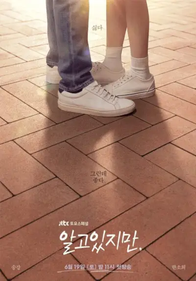 Netflix K Drama Néanmoins Saison 1 Jtbc Poster