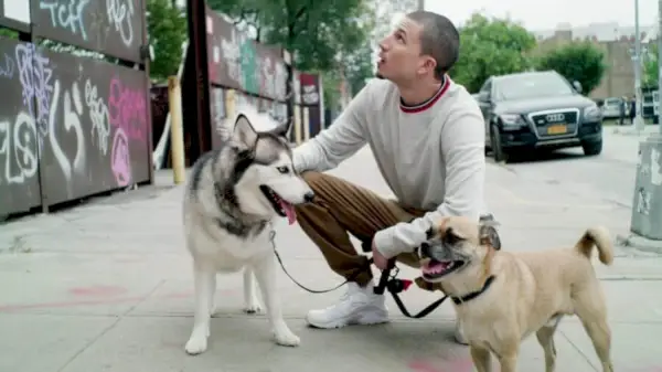 É Bruno Netflix Husky