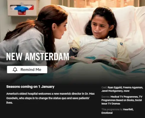 Nowy Amsterdam w serwisie Netflix od 1 stycznia 2023 r.webp