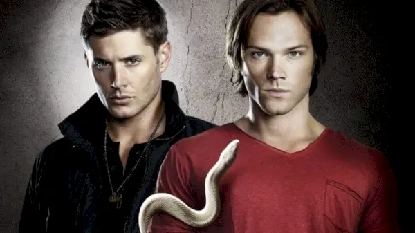 Wanneer komt seizoen 13 van Supernatural op Netflix?