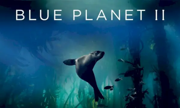 Quando o Blue Planet 2 estará no Netflix?