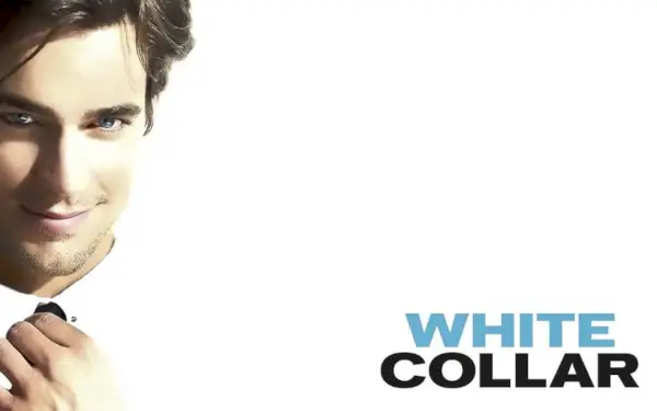 Кога сезон 5 на White Collar ще се излъчва по Netflix?