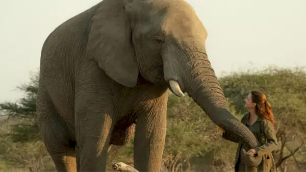 Vacanță în sălbăticie Film Netflix Elephant Kristin Davis