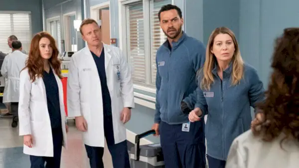 Кога ще бъде сезон 17 на Greys Anatomy в Netflix 1