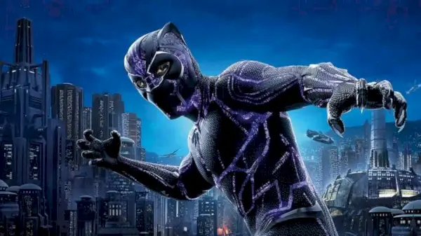 Black Panther Netflix release