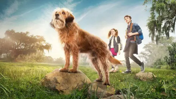 Benji (2018) Netflix Original : liste complète des acteurs, bande originale et suite ?