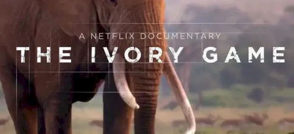 The Ivory Game Netflix