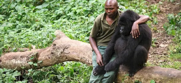 Virunga