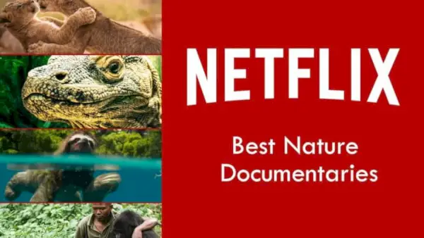 أفضل الأفلام الوثائقية عن الطبيعة على Netflix لعام 2019