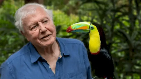 David Attenborough 다큐시리즈 'Life in Color'가 2021년 4월 Netflix에 출시됩니다.