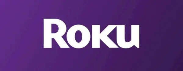 Roku Netflix Merger