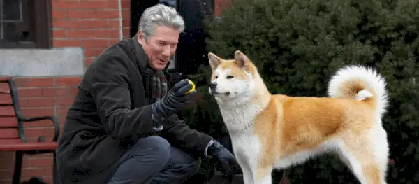 Hachi A Dogs Tale Beste films om te bekijken op Netflix voordat ze eind mei 2023 vertrekken