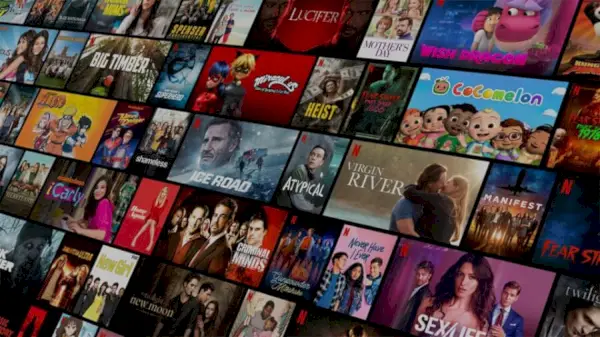 Bibliotecă Netflix Fotografie la scară