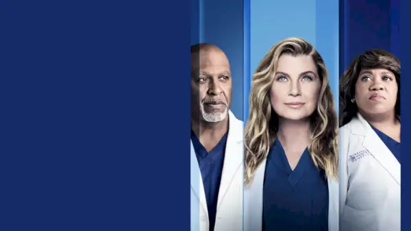 'Grey's Anatomy' skal forlate Netflix internasjonalt i januar 2022